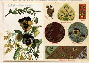 Imagens de pansies e mimosa de manuscritos e sua aplicação de Ernest Guillot