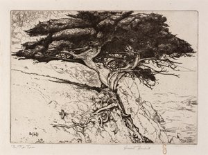 A árvore de leques de Ernest Haskell
