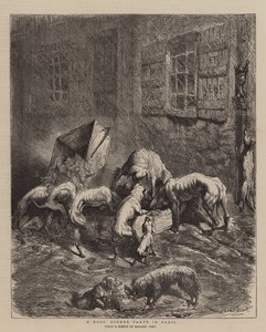 Um jantar de cães em Paris