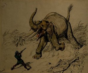 Shoot de elefante (caneta e tinta, aguarela sobre papel) de Ernest Henry Griset