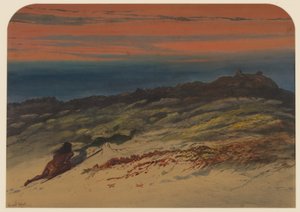 Caça Selos, 1871 de Ernest Henry Griset