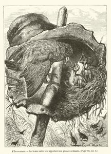 A amada, A boa mãe trouxe-lhes a sua ninharia ordinária de Ernest Henry Griset