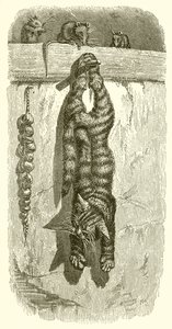 O gato e os ratos