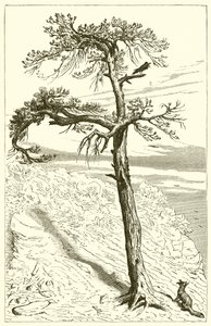 A raposa e a tripulação de Ernest Henry Griset