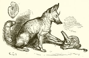 A raposa e a máscara