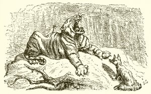 A raposa e o tigre
