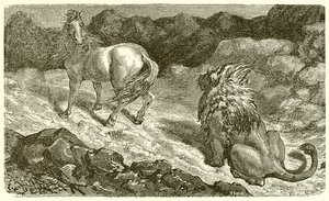 O cavalo e o leão