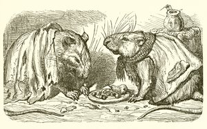 O rato da cidade e o país