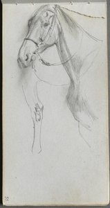 Sketchbook, página 55: Estudo para um cavalo
