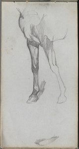 Sketchbook, página 66: Estudo de um cavalo de Ernest Meissonier