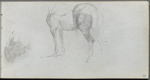 Sketchbook, página 73: Estudo de um cavalo, perfil