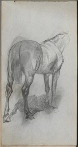 Sketchbook, página 76: Estudo de um cavalo