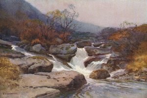 Um Dartmoor Stream (cor litho) de Ernest William Haslehust
