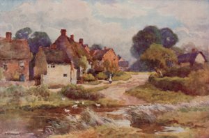 "Vassoura Mendiga" (lito a cores) de Ernest William Haslehust