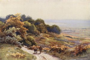 Burley Moor (cor litho) de Ernest William Haslehust