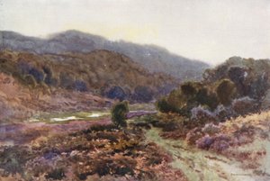 Por Broomy Water (cor litho) de Ernest William Haslehust