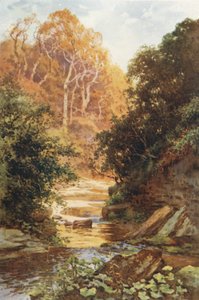 Hayburn Wyke (lito colorido) de Ernest William Haslehust