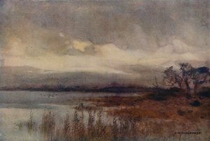 Hickling Broad (cor litho) de Ernest William Haslehust