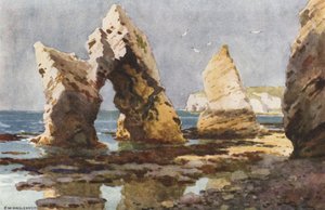 Em Baía de Água Doce (cor litho) de Ernest William Haslehust