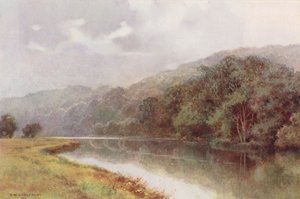 Rio Tamisa: Cliveden Woods (litografia a cores) de Ernest William Haslehust