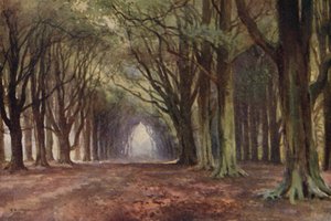 A Avenida Beech, Thoresby (cor litho) de Ernest William Haslehust