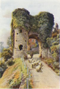 The Strand Gate, Winchelsea (lito colorido) de Ernest William Haslehust