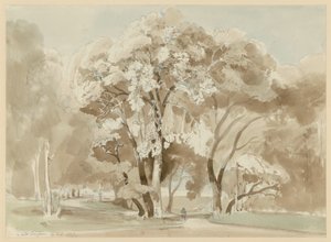 Grupo de árvores no parque da Villa Borghese, em Roma de Ernst Fries