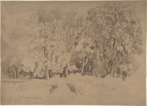 Orla de um bosque perto de Frascati de Ernst Fries