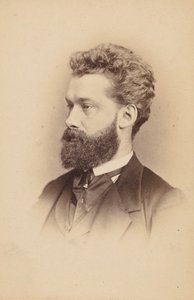 Floresta. de Ernst Milster