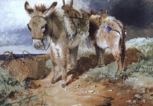 Burros, 1855