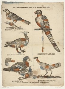 Quer /ô! jovem juventude birdwatching / Aqueles muito excelentes depois de animado semelhante (título no objeto) de Erven de Weduwe Jacobus van Egmont
