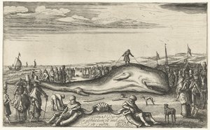 Cachalote encalhado na praia de Noordwijk, 1614 de Esaias van de Velde