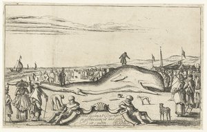 Baleia encalhada na praia de Noordwijk, 1614