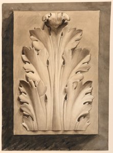  Desenho, folha de Acanto: de um molde de Esther Silver