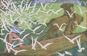 Pássaros a seguir a uma charrua de Ethel Spowers