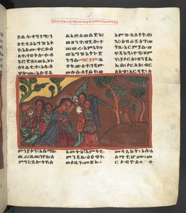 Ou. 607 f051r, Cena da vida da Virgem Maria, de 