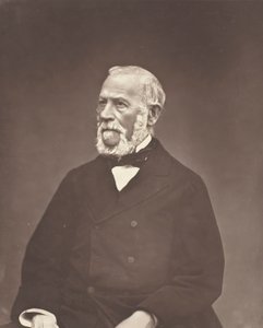Henrique Martin, c. 1876. de Etienne Carjat