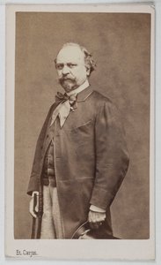 Retrato de Giuseppe Palizzi (1813-1887), pintor italiano. de Etienne Carjat