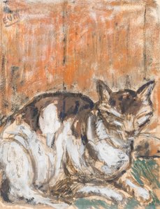 Katze de Eugeen van Mieghem