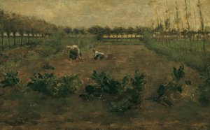 Fieldwork de Eugen Jettel