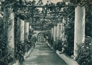 Pérgola em um vinhedo, Capri, Itália, 1927 de Eugen Poppel