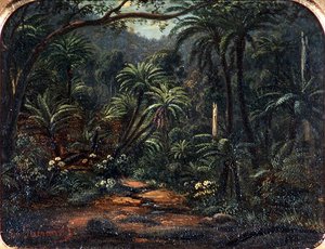 Ferntree Gully na cordilheira Dandenong