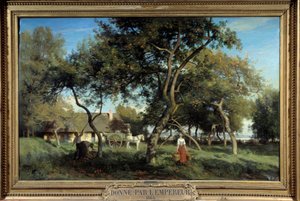 Apanhar maçãs na Normandia, em 1865. Pintura de Eugene Lavieille (1820-1889)