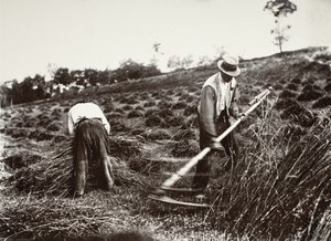 Ceifeiros, Somme