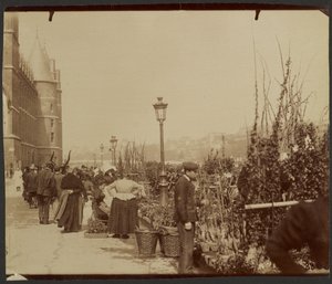 [O mercado das flores] de Eugène Atget