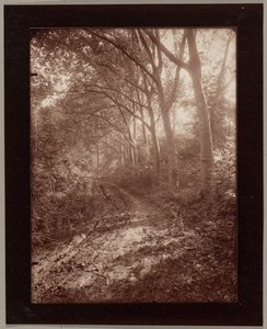 Parque de Sceaux de Eugène Atget