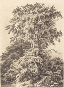 Bosque de Faias de Eugene Bléry