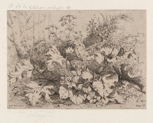 Bardana em flor de Eugene Bléry