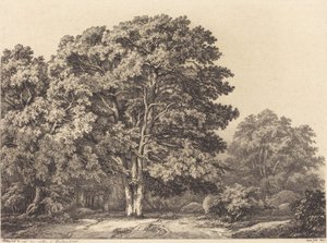 Entrada para uma floresta de Eugene Bléry