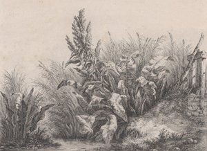 Grande Doca de Água, 1840.